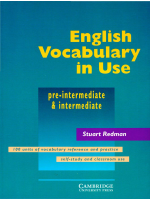 English Vocabulary in Use Pre Intermedi.pdf